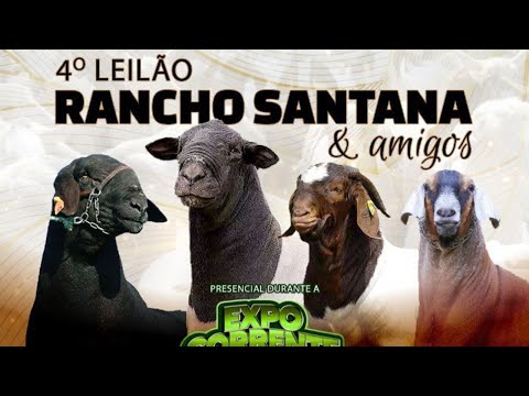 4º LEILÃO RANCHO SANTANA & AMIGOS