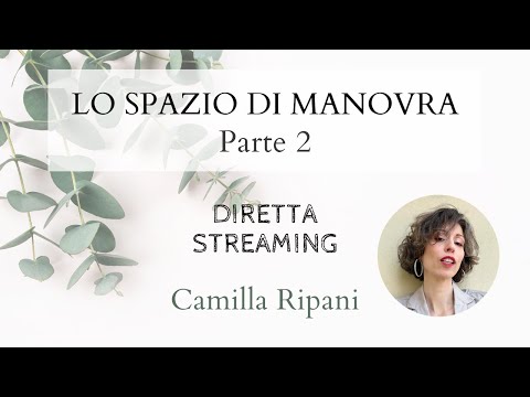 Lo Spazio di Manovra – Parte 2