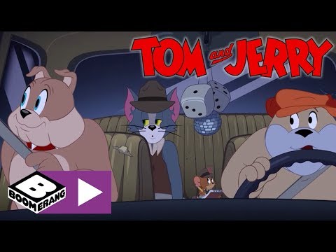 Tom & Jerry Show I Kalabalık Ev | Cartoonito Türkiye