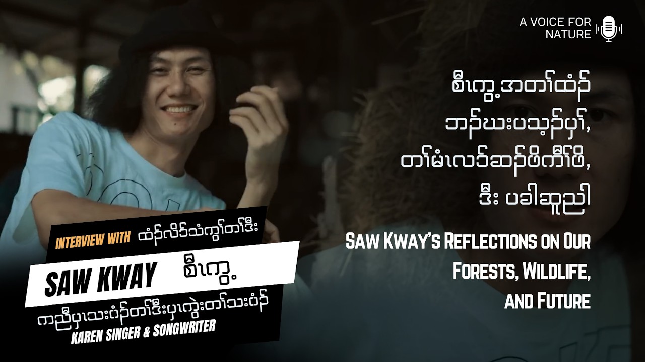 Saw Kway's Reflections on Our Forests, Wildlife, and Future