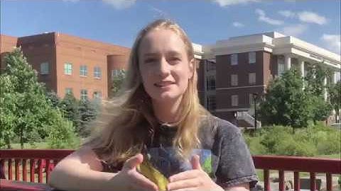 The Ulam Spiral: Entry for Breakthrough Junior Challenge