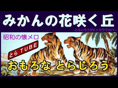 みかんの花咲く丘