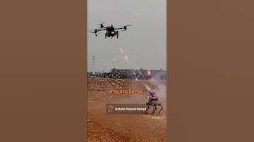 Robot dog duels drone with fireworks in an epic fight