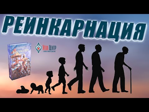 Реинкарнация - есть ли жизнь после смерти? Коротко и научно.