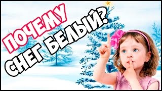 Почему снег белый? .◕‿◕.