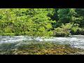 Pure River White Noise 🌊 No Rain No Music – Calm Water Sounds for Sleep & Focus