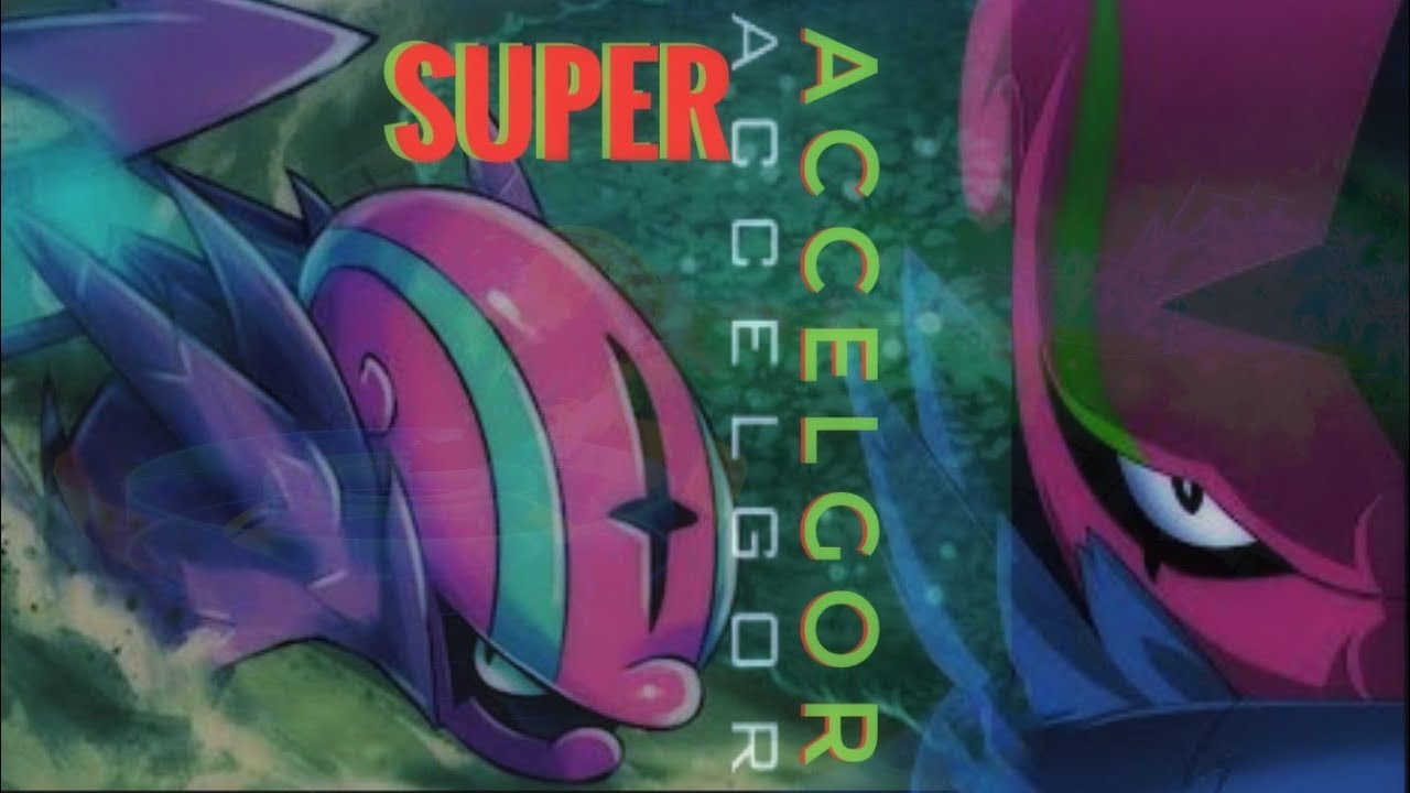 Accelgor Full Speed/fúria pra Riot Avançado - Pocket contest - Pokeland ...