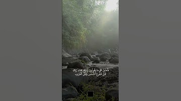 سبحان الله وبحمده سبحان الله العظيم #القرآن_الكريم #quran #ياسر_الدوسري #تلاوات