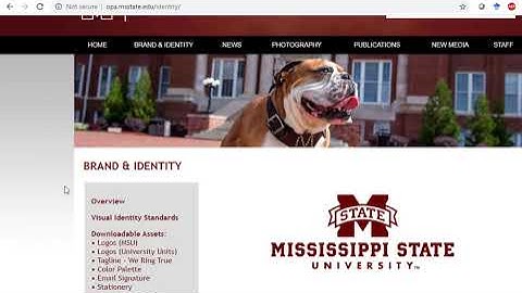 Video Custom Colors with MSU Color Palette