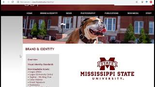Video Custom Colors with MSU Color Palette