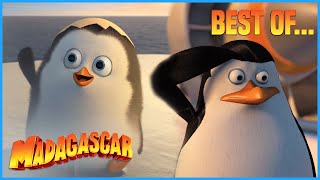 Best of Private Penguin | Penguins of Madagascar | Mini Moments