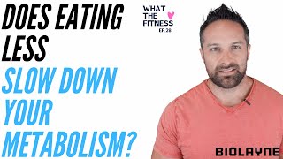 Does Eating Less Slow Down Your Metabolism? What The Fitness Ep 29