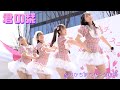 君の栞/おかちまちパンダ広場(2023.04.01)【4K】Japanese Girls Idol Group