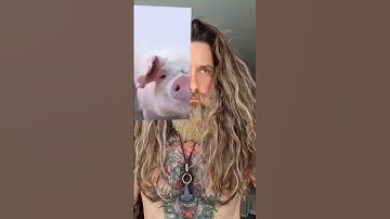 Trying tiktok filter 🤣 47|twin animal 😂🤪 mini toy-woodworking art skill/wood/handcrafte#shorts