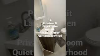 1A - Studio w lg kitchen, twin bed, natural light, new bathroom