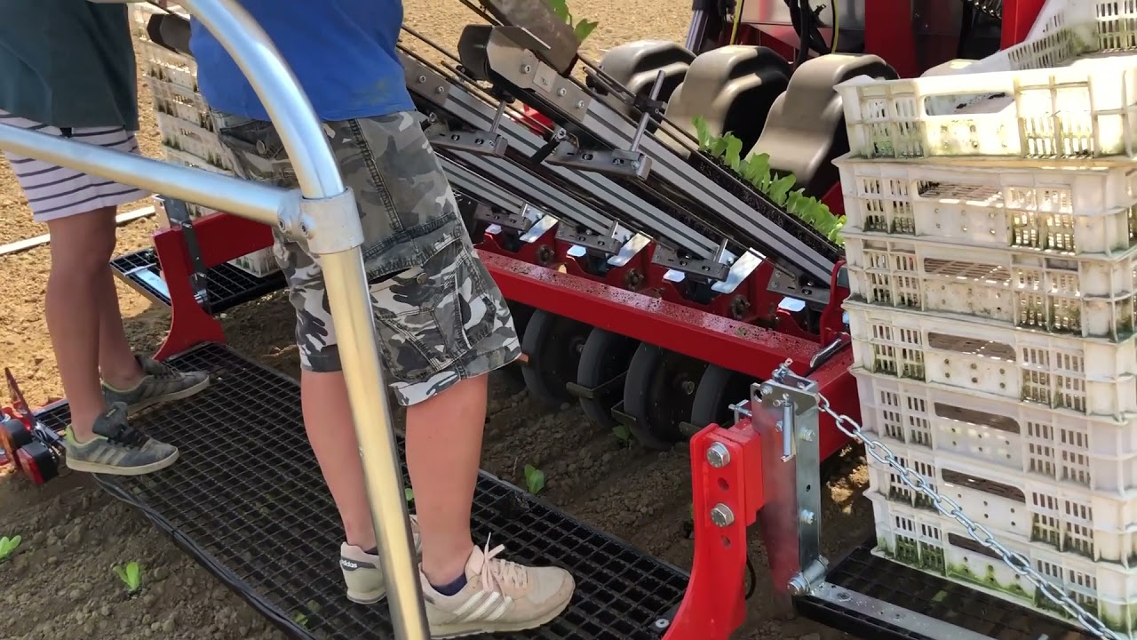 CHECCHI & MAGLI - 🟩 QUBIK 4 rows - Plant with a smile 🙂