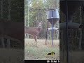 Zone 2 #hunting land? Check comments for details #newyear #goals #deerhunting #deer #raw #land #2026