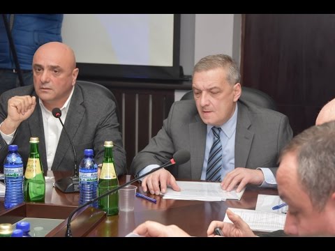 ტერიტორიული მთლიანობის აღდგენის საკითხთა დროებითი კომისიის გასვლითი სხდომა