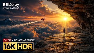 Amazing OLED Nature Test 16K Video ULTRA HD | Dolby Vision 120FPS (8K/4K Video TV)
