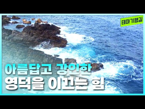 아름답고 강인한 영덕을 이끄는 힘 | 테마기행길