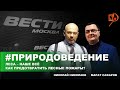 Леса - наше все I  Как предотвратить лесные пожары? / ПРИРОДОВЕДЕНИЕ на ВЕСТИ.ФМ 24.05.2020