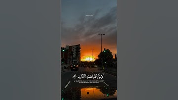 تلاوة مؤثره/﴿ الَّذِينَ آمَنُوا وَتَطْمَئِنُّ قُلُوبُهُم بِذِكْرِ اللَّهِ ﴾