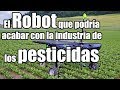 🌾 El Robot Desmalezador en la Agricultura de Precisión (control de malezas mecanico)