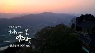 160513 KBS스페셜 예고 ㅣ KBS방송