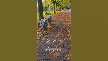 تلاوة خاشعة لآيات من كتاب الله #القرآن_الكريم #الله #اكسبلور #foryou #راحة_نفسية #viral