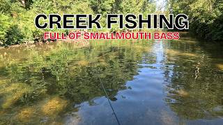Creek Fishing - Full of Smallmouth Bass screenshot 4