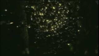 Meralco Disco Lights 15S Hi