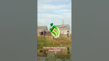 Mẹo đuổi ruồi muỗi gián ra khỏi nhà