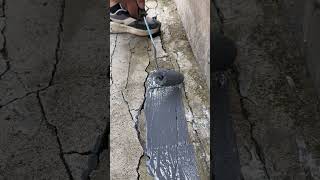 Professional Waterproofing Process 💧#ConstructionTools #WaterproofWork #ShortsFeed
