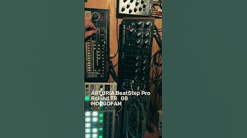 beatstep jam #electronicmusic #electrosound #synth #synthesizer #moog #dfam