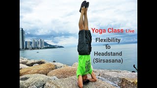 Yoga Live Class - Flexibility to Headstand