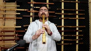 Shakuhachi C# 1.9 / fabricado en madera/ Maple