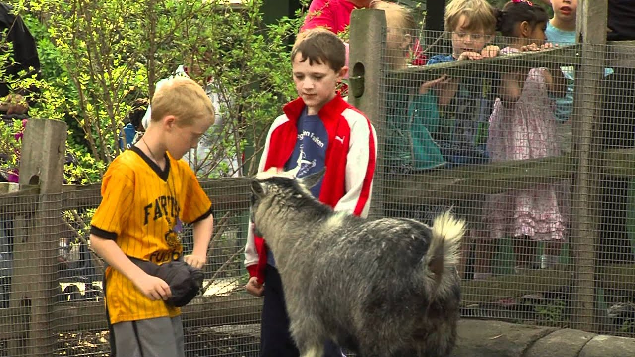 Education Camps at the Cincinnati Zoo - YouTube