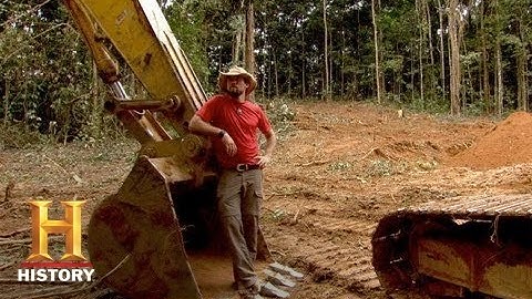 Bamazon: The Wild Card | History