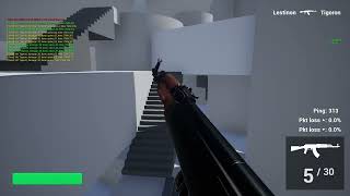 Celebrity Unreal Engine lag compensation + server-side hit detection test (300 ms ping, 10 Hz server tickrate) Wealth