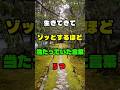 生きてきてぞっとするほど当たっていた言葉 5つ #人生の教訓 #生き方 #人間関係#シニアライフ #人生の知恵 #暮らしの知恵 #shorts