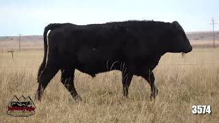 Indreland Angus 3574