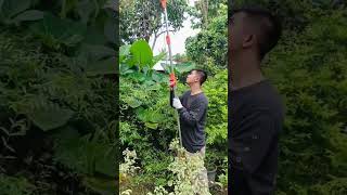 Give your garden a fresh and clean cut! #branchpruning