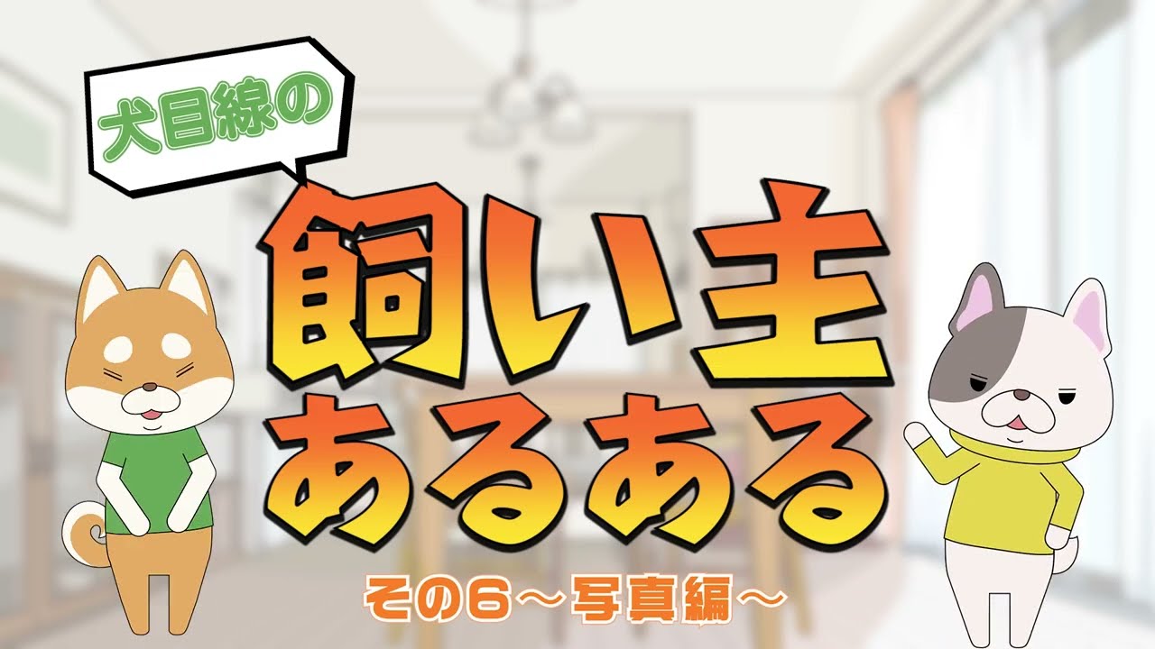 【あるある】寝てない時の写真も増やしてください！