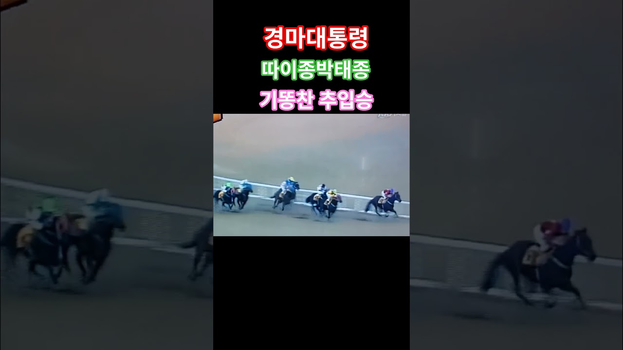 왕년에 이렇게 날라다녔지^^ #경마 #말 # 달려라말#은퇴  #shrots #horse