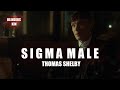 Sigma male  thomas shelby