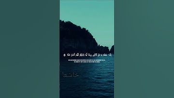 فلعلك باخع نفسك على آثارهم سورة الكهف فارس عباد #قرآن #اكسبلور #تلاوة_خاشعة #خاشعا