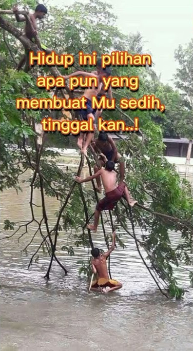 Story wa ceria #shorts #storywa