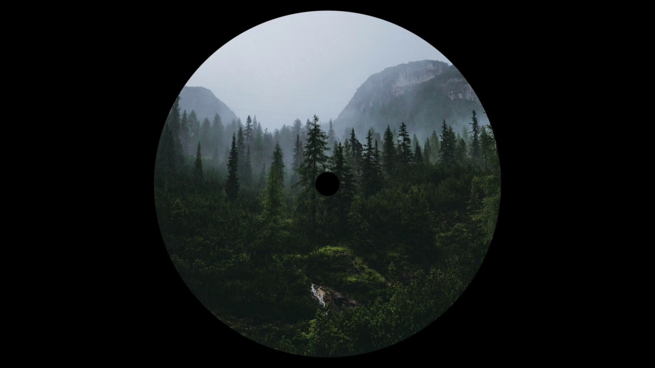 Julius Steinhoff & Moomin - Blackest Forest Ever