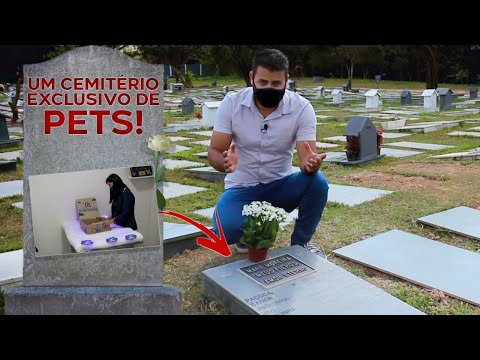 Vídeo: Como Escolher Um Cemitério Para Um Funeral
