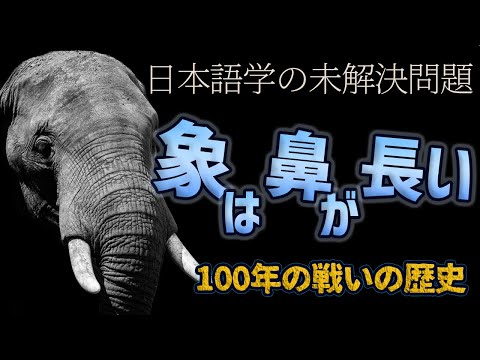 「象は鼻が長い」の謎-日本語学者が100年戦う一大ミステリー #10